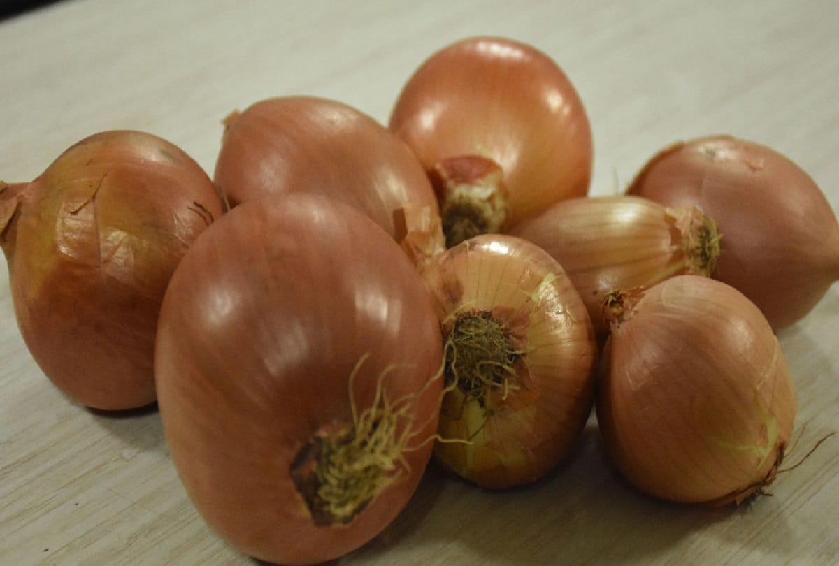 Administration became strict about rising price of onions