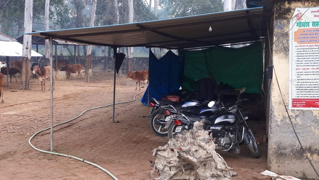 Parking in Cow Shelter