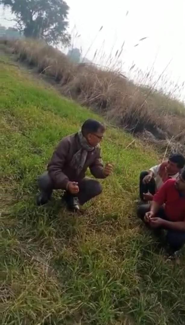 Hathras: 43 bigha wheat crop wasted due to weedicide