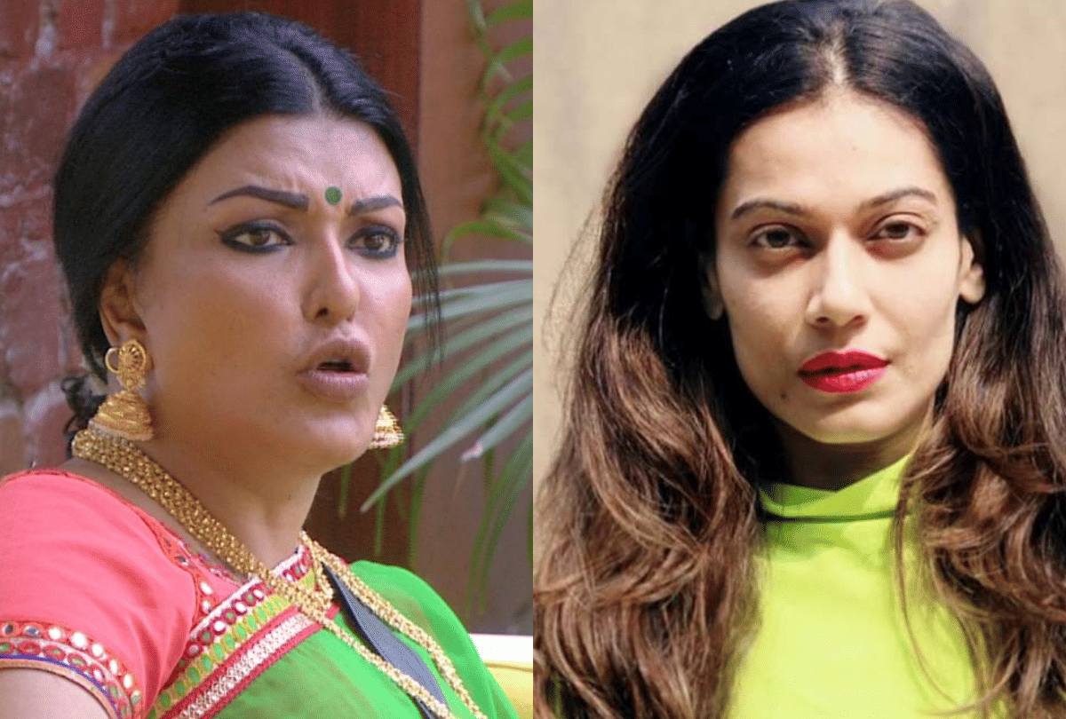 bigg boss 13 koena mitra supports payal rohtagi and comment on congress