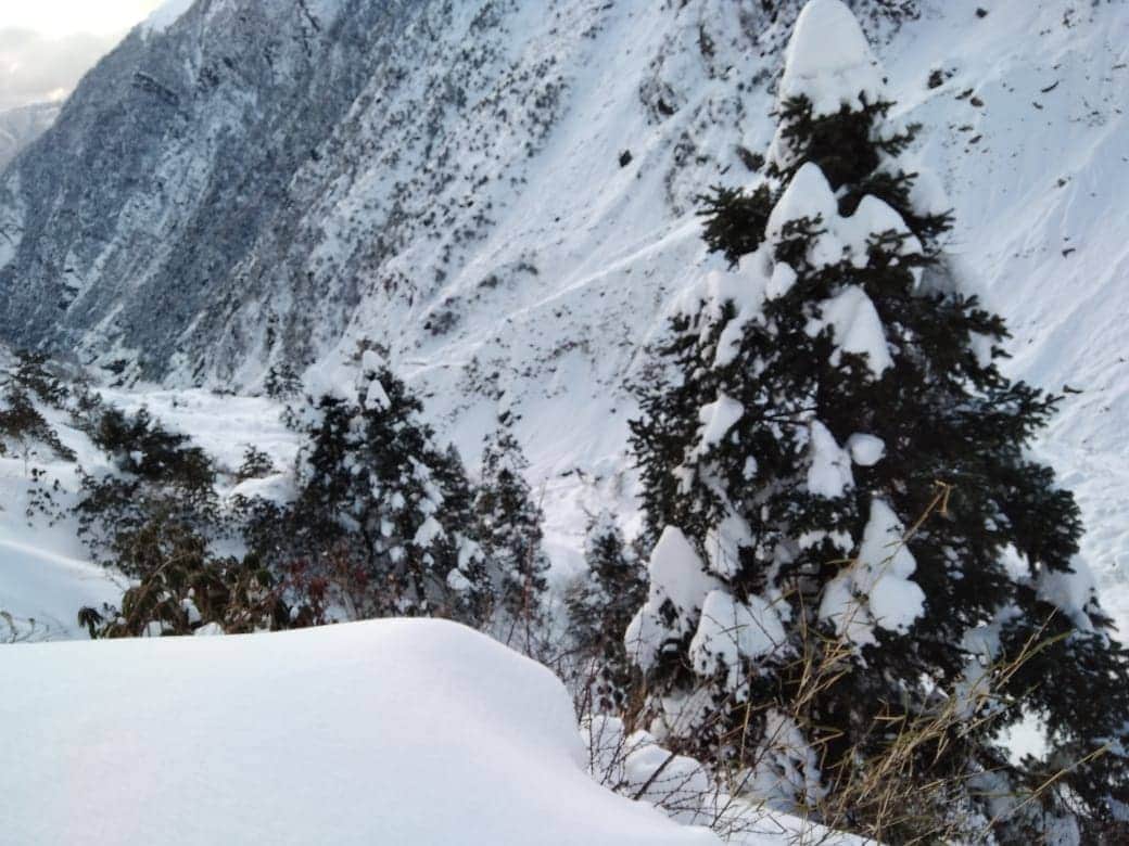 kedarnath and badrinath dham snowfall exclusive pictures