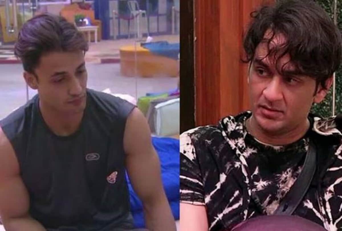 Bigg Boss 13 Asim Riaz Indirectly Comented on Vikas Gupta Sexuality