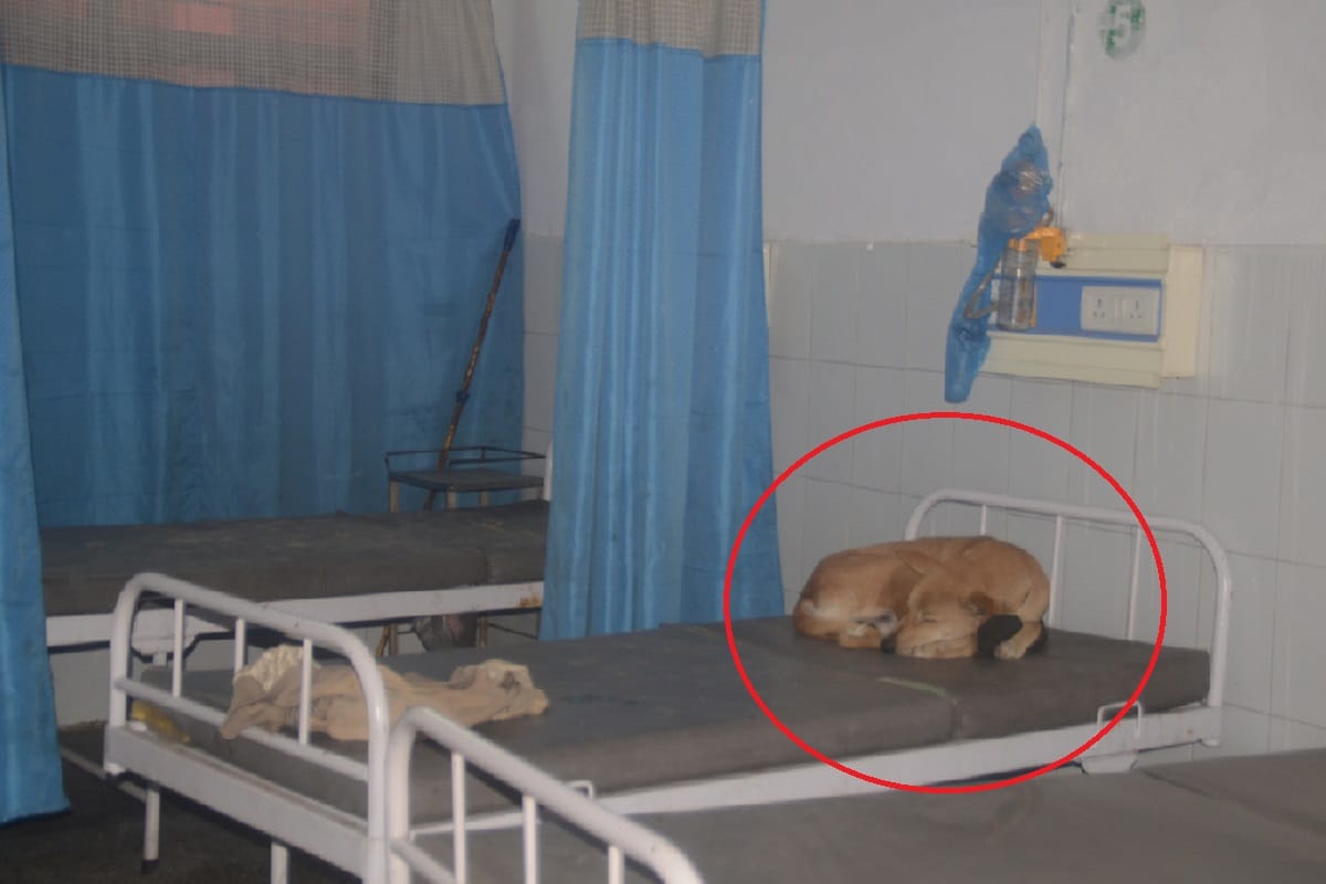 Negligence of district hospital has see in Baghpat district