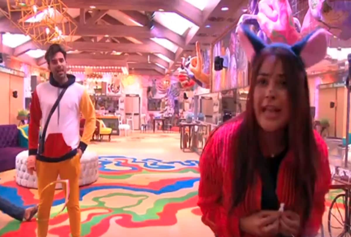 bigg boss 13 shehnaaz gill proposed paras chhabra in front of sidharth shukla