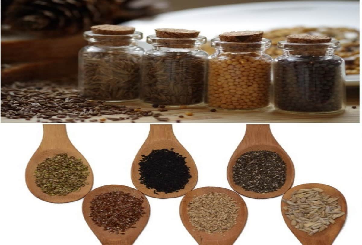 Today Kitchen Hacks How To Protect Garam Masala From Insects Or Bugs At Home In Hindi