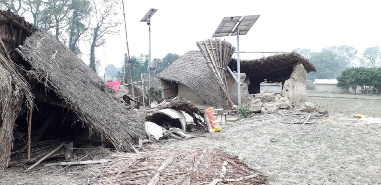 Elephants demolish houses, trample 10 bigha crop