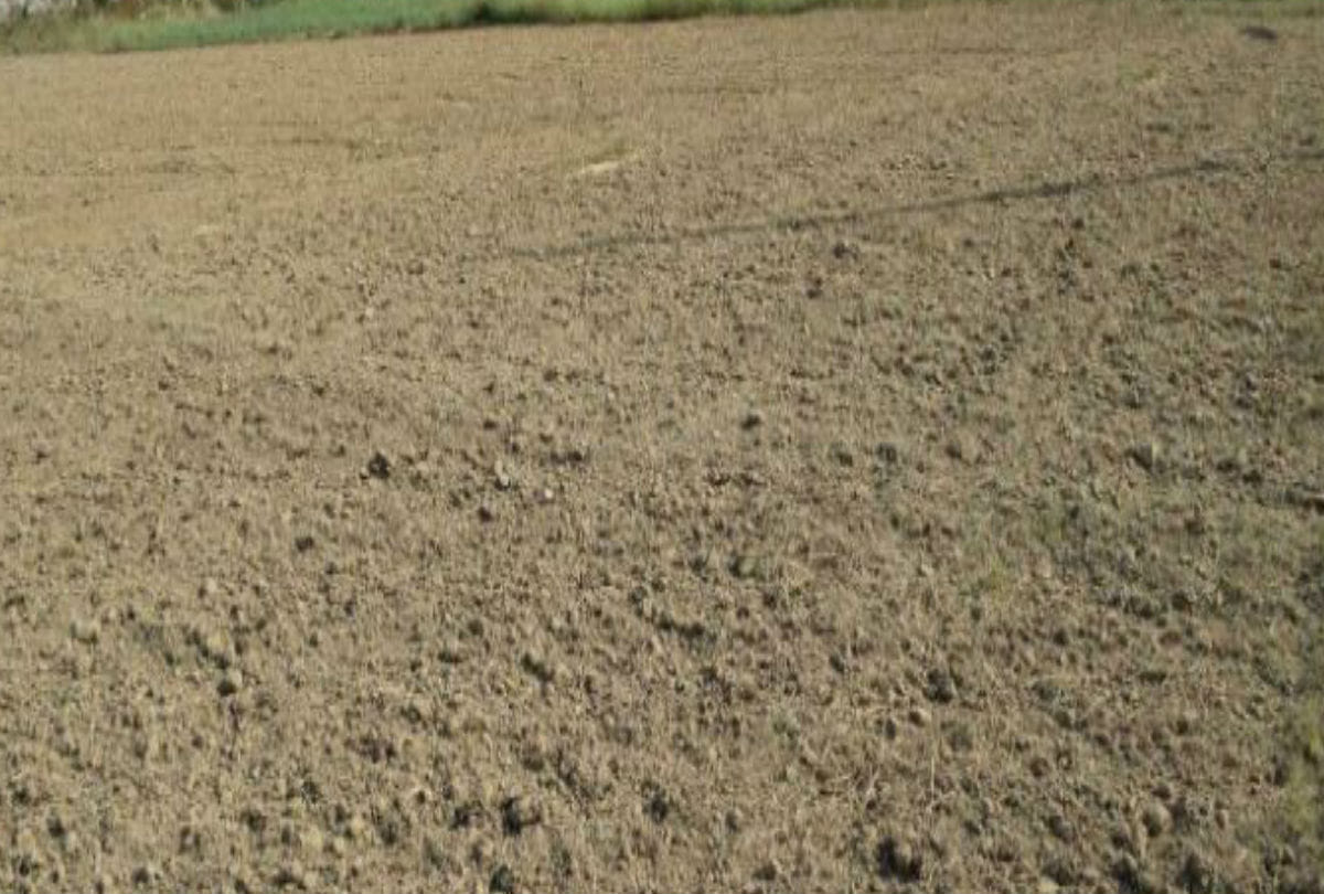 New rates for plots in Greno have been implemented, up to 52% increase