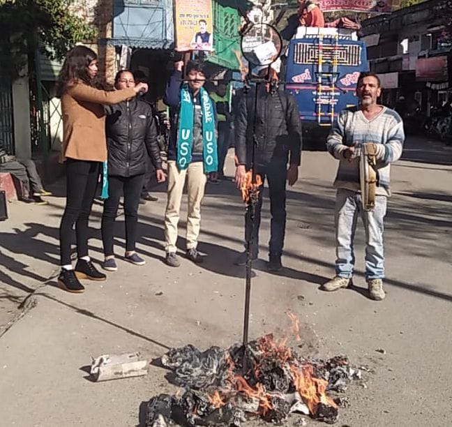burnt effigy of Central policies
