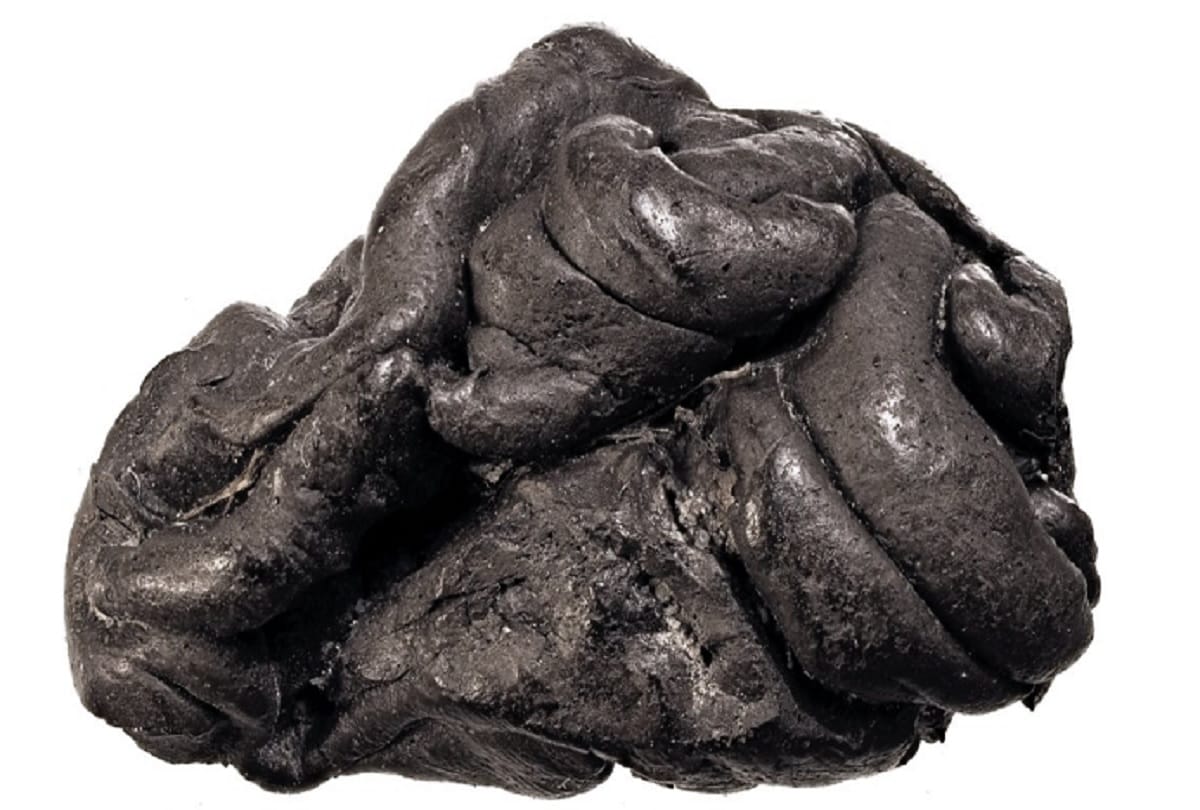 Scientists found 5700 year old chewing gum who chewed by ancient woman