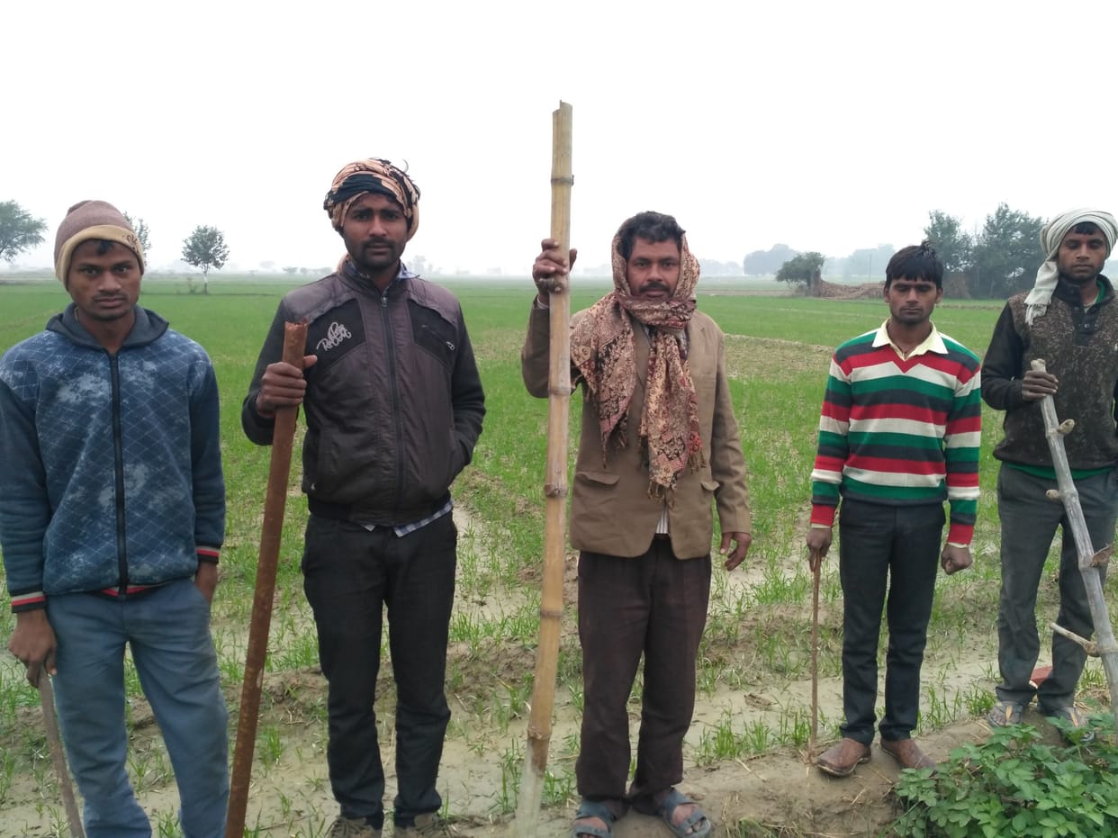 farmer