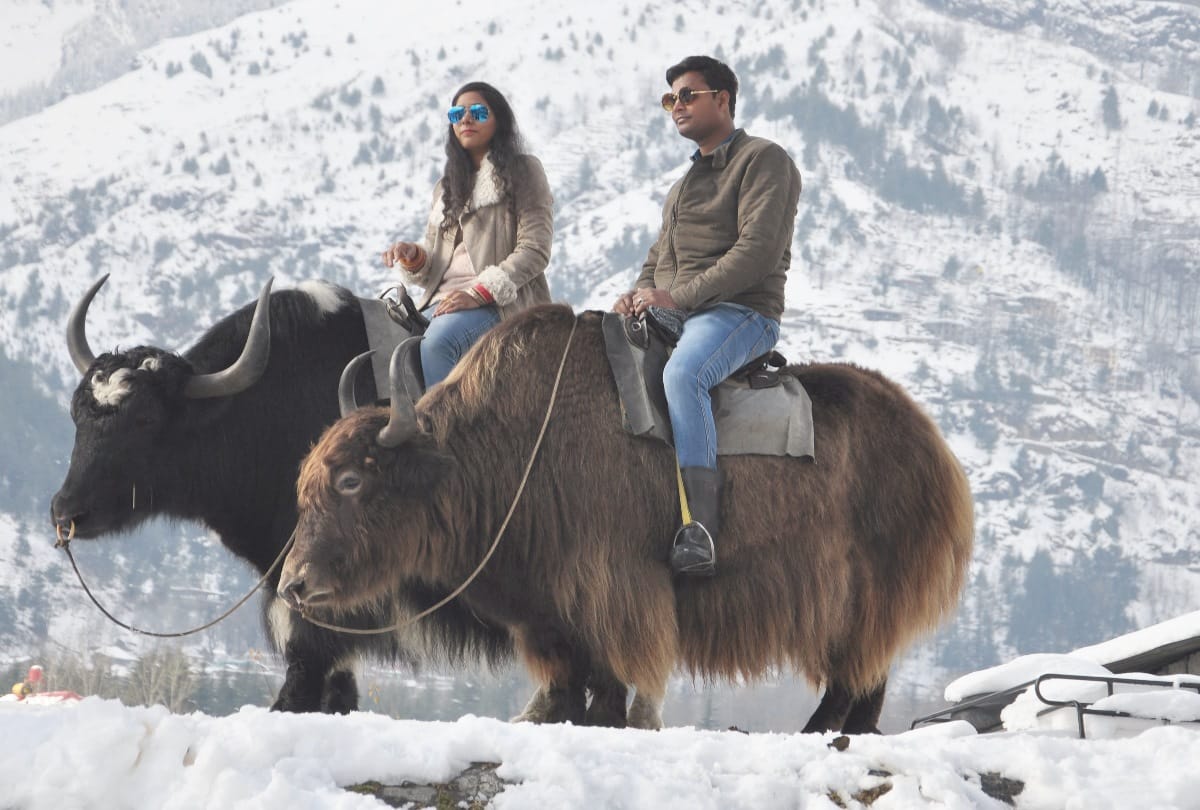 christmas and new year celebration in Shimla And Manali and Tourist in Solangnala