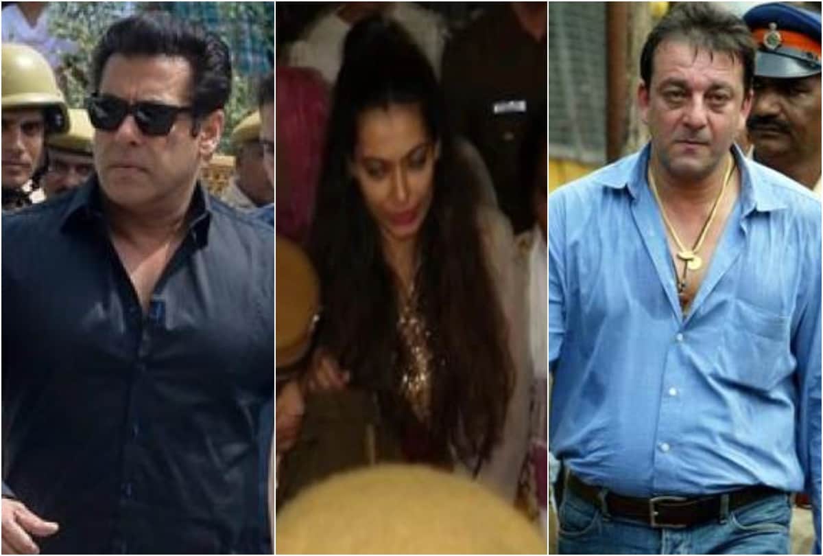 payal rohtagi to salman khan these celebrities arrested