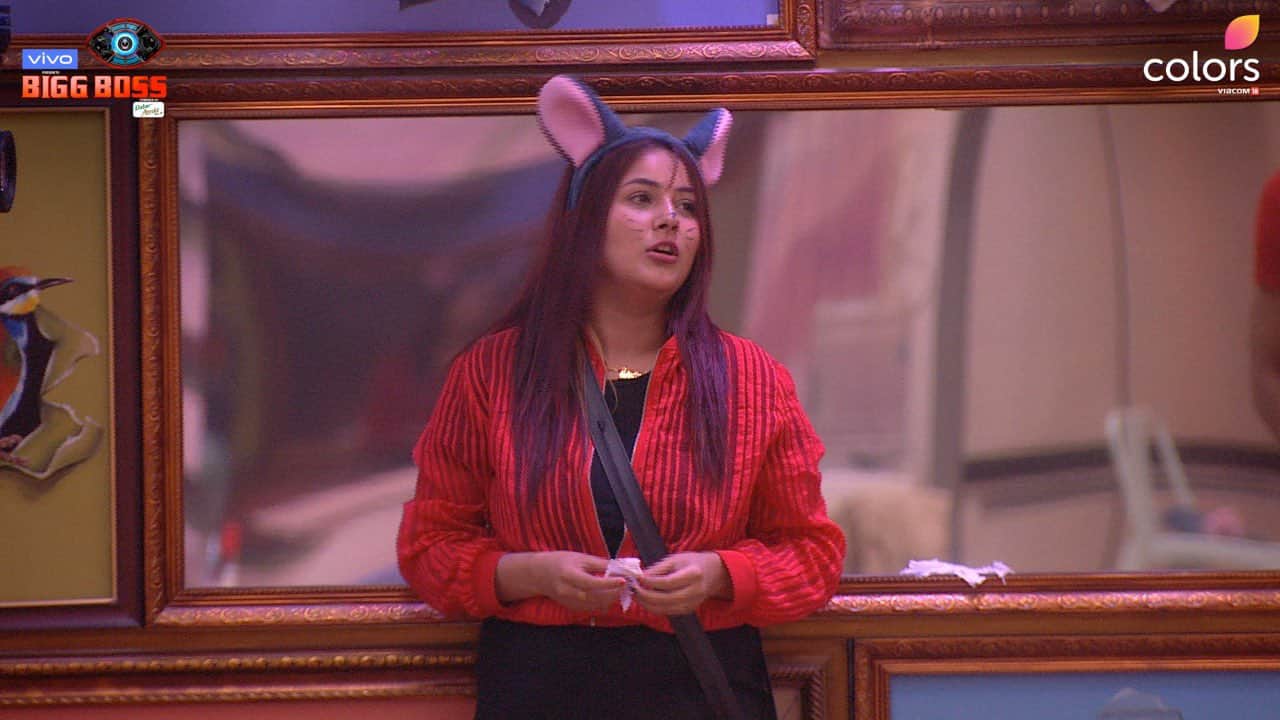 Bigg Boss 13 Shehnaz Gill Know Paras Chhabra From Splitsvilla And Give Auditions For Roadies Before