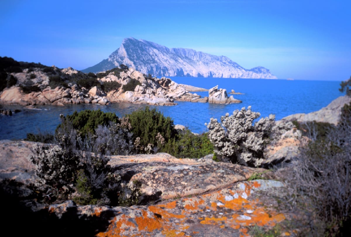 Worlds smallest kingdom Tavolara kingdom Where king runs boat and restaurant