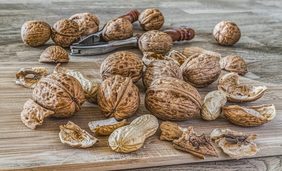 walnuts health benefits how to buy walnut in market walnuts nutrition facts