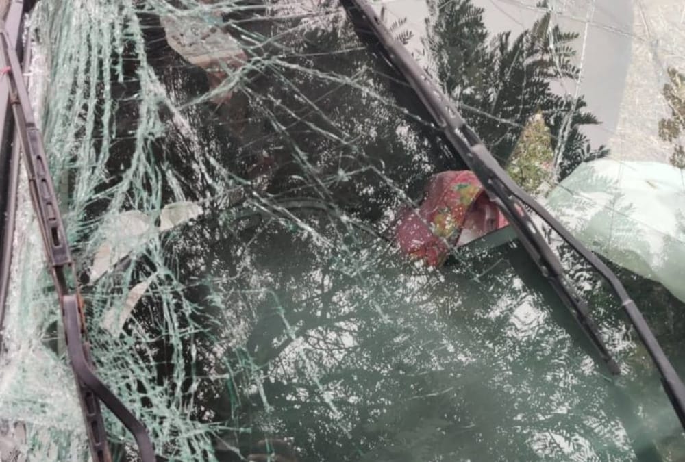 Uttarakhand News: Three Including Former chairman of Rudrapur Mandi Died in Car Accident