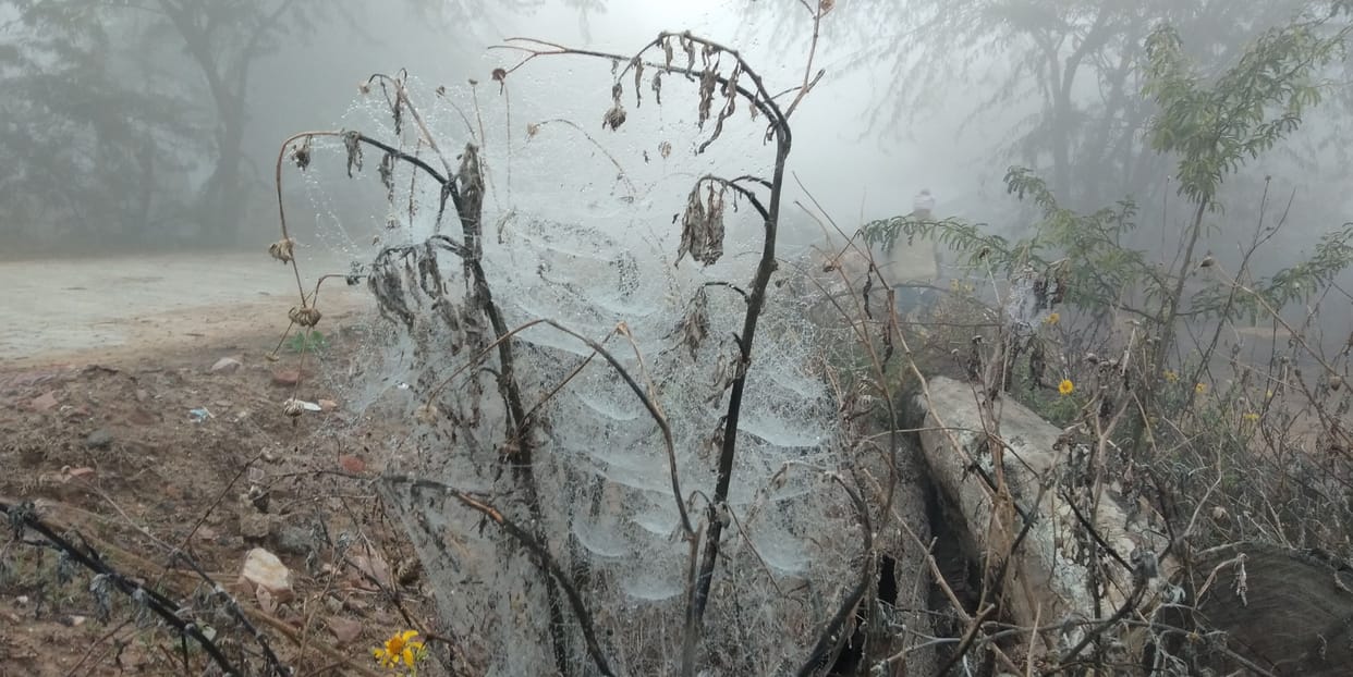 Cold created dificulties in Charkhi Dadari