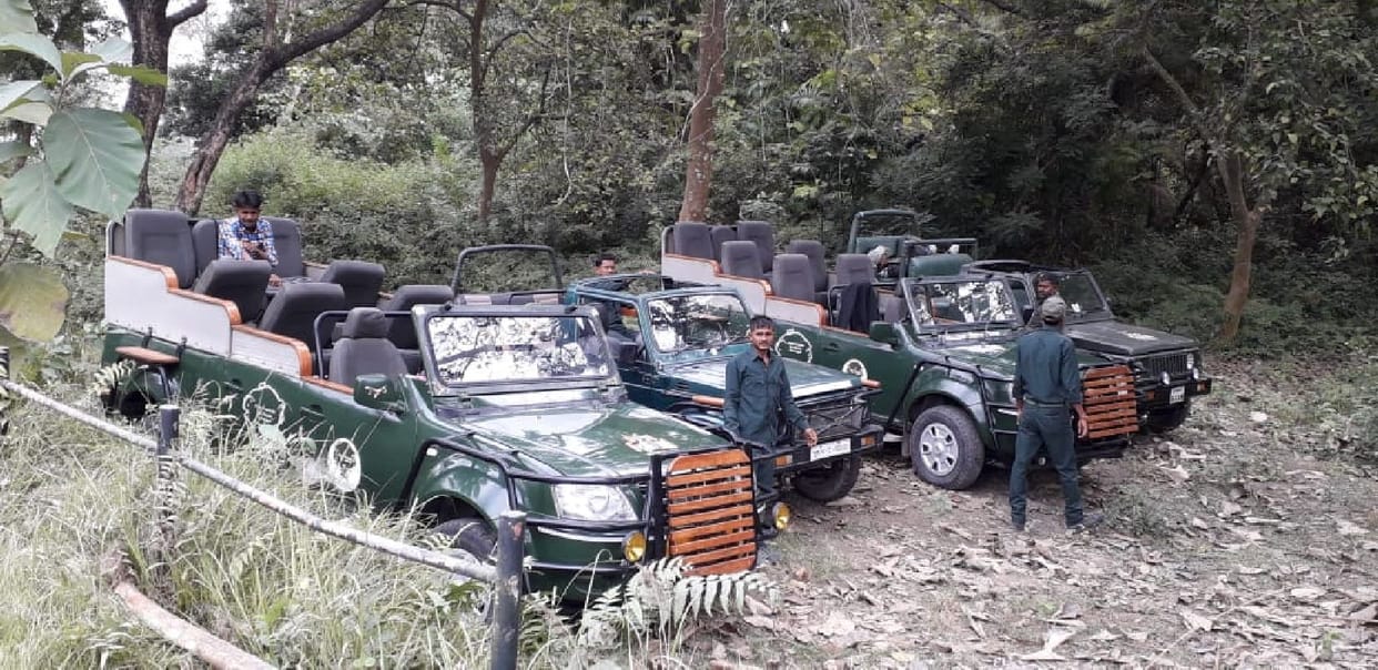 Ban on tourists walking in the forest