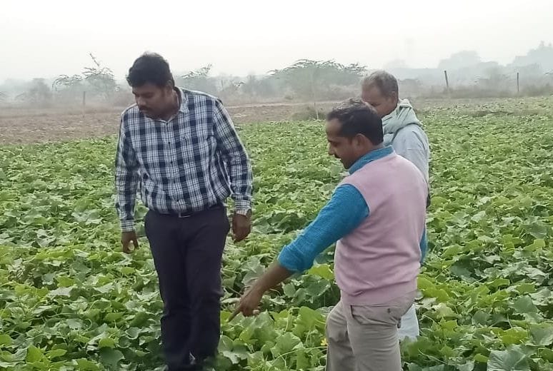 agriculter