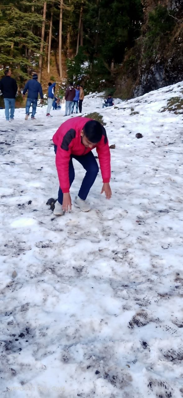 winter havoc