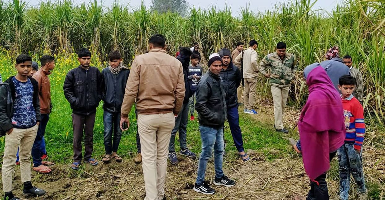 ruckus for found body parts of cow