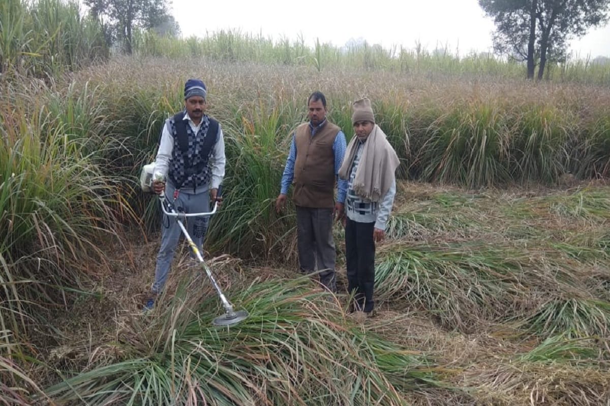 Getting grants to promote organic farming