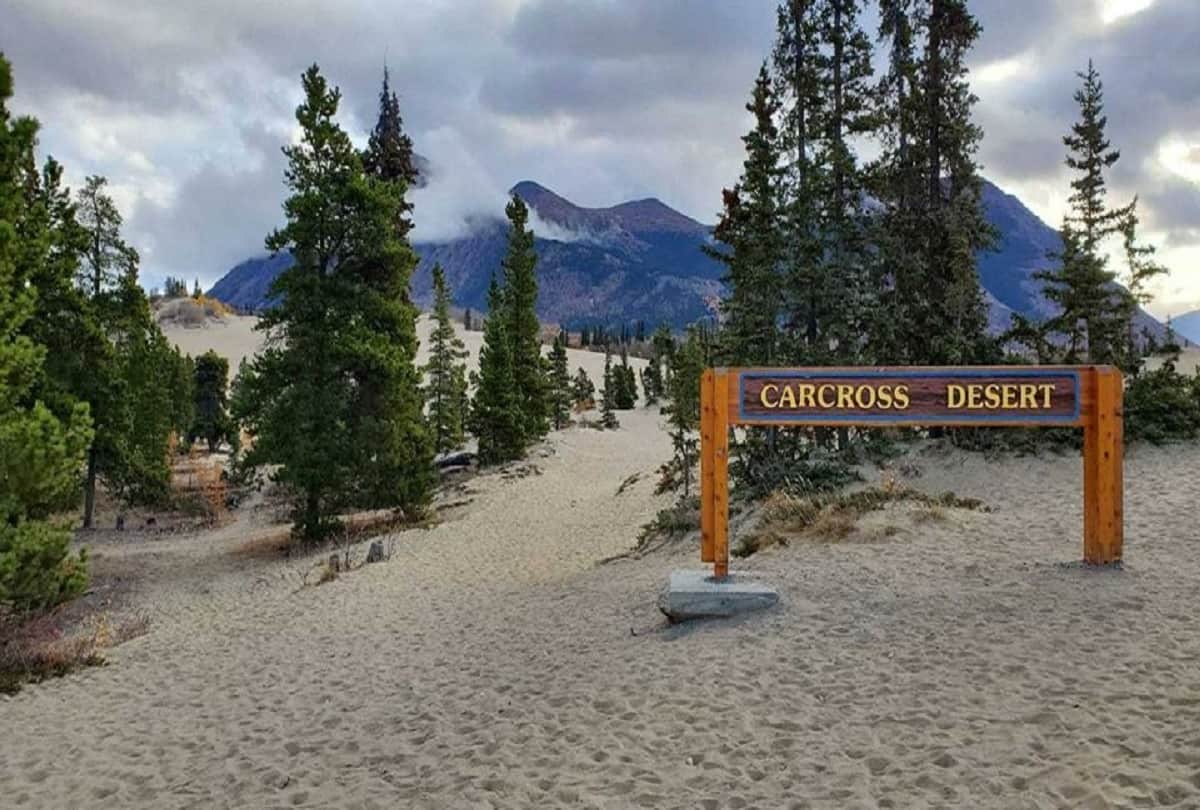 world most mysterious desert Carcross desert mystery