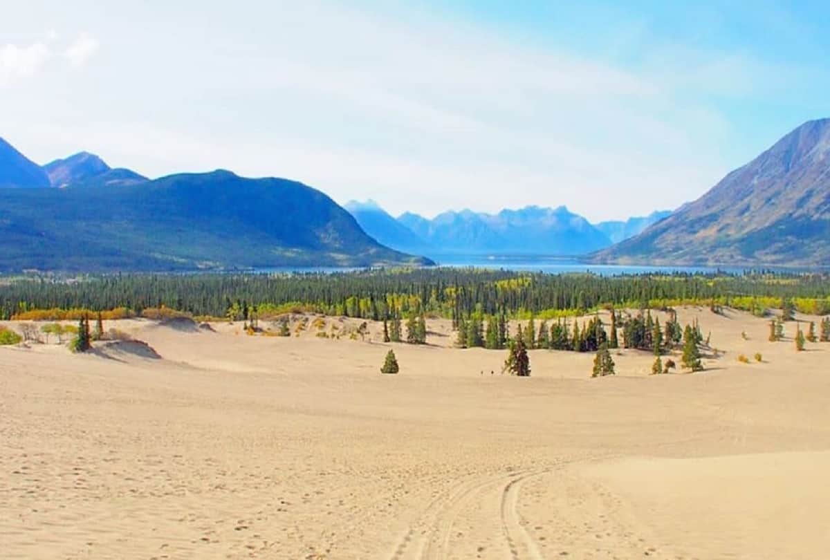 world most mysterious desert Carcross desert mystery