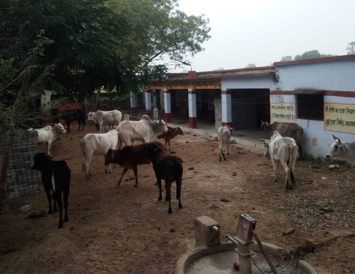 kanpur dehat school