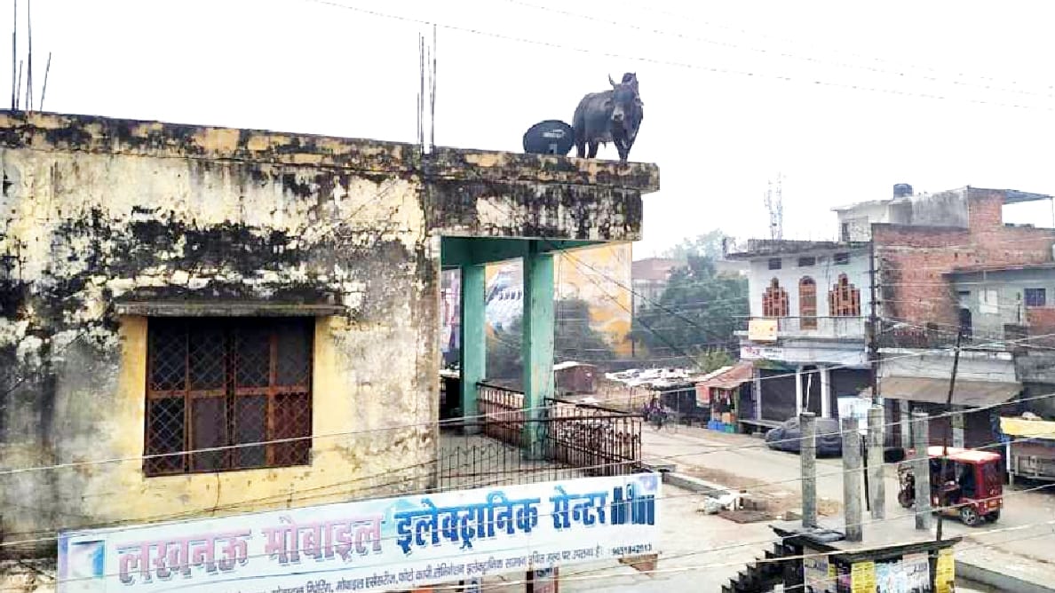Civic Amenities