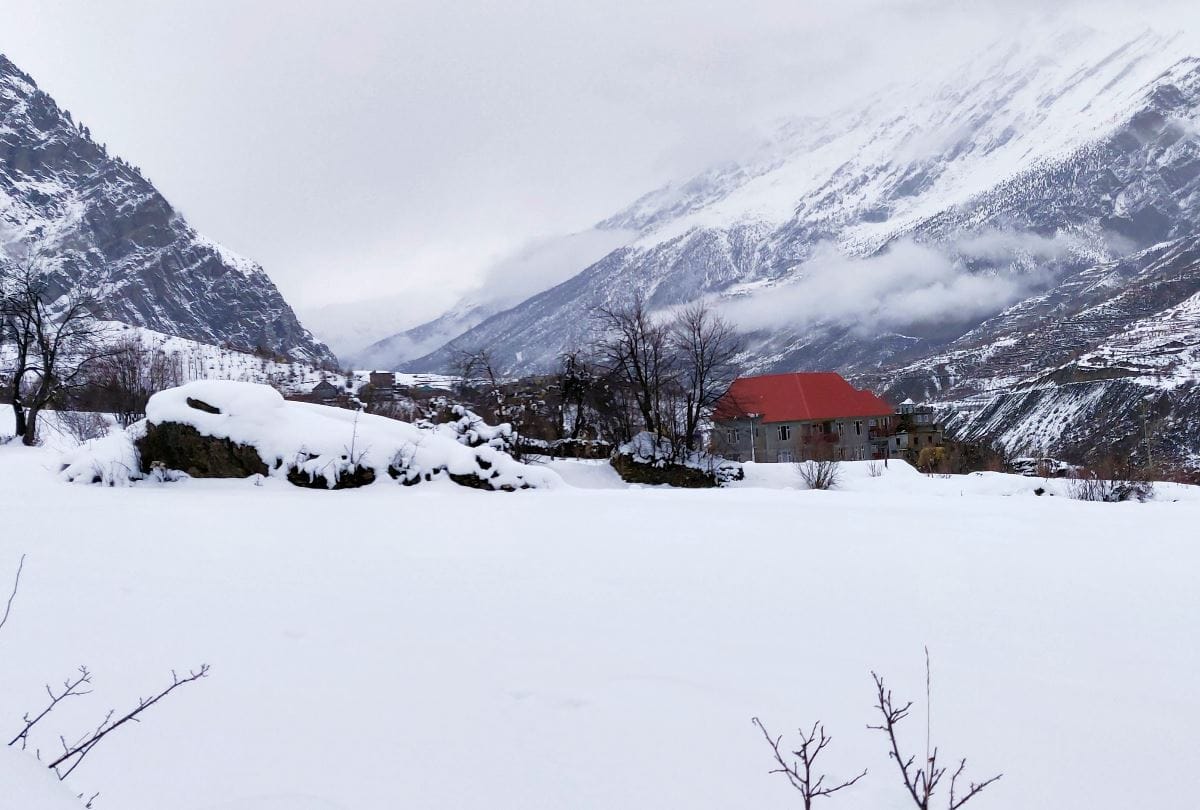fresh snowfall at peaks in himachal pradesh drizzling in shimla and una
