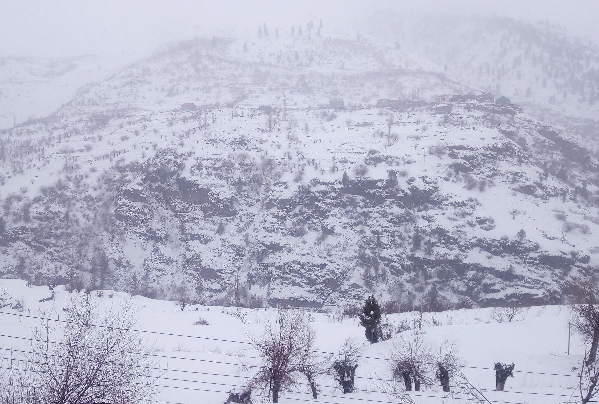 fresh snowfall at peaks in himachal pradesh drizzling in shimla and una