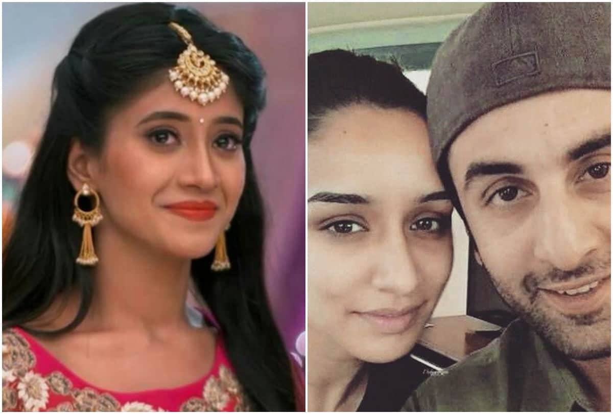 News Capsule Dr Shreeram Lagoo Shraddha Ranbir Kapoor Kartik Nayra Taimur Karisma Kapoor Farhan