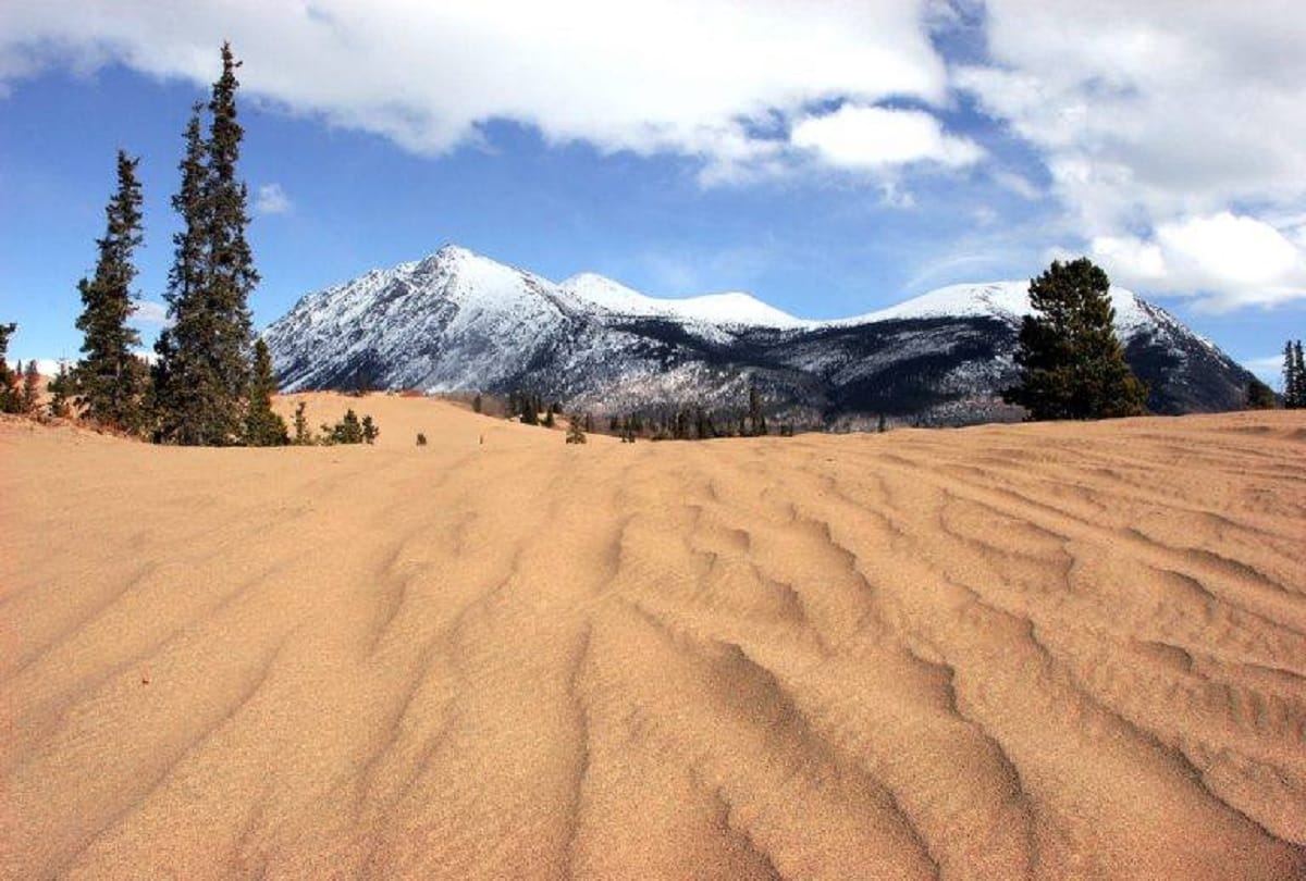 smallest desert in the world Carcross Desert mystery