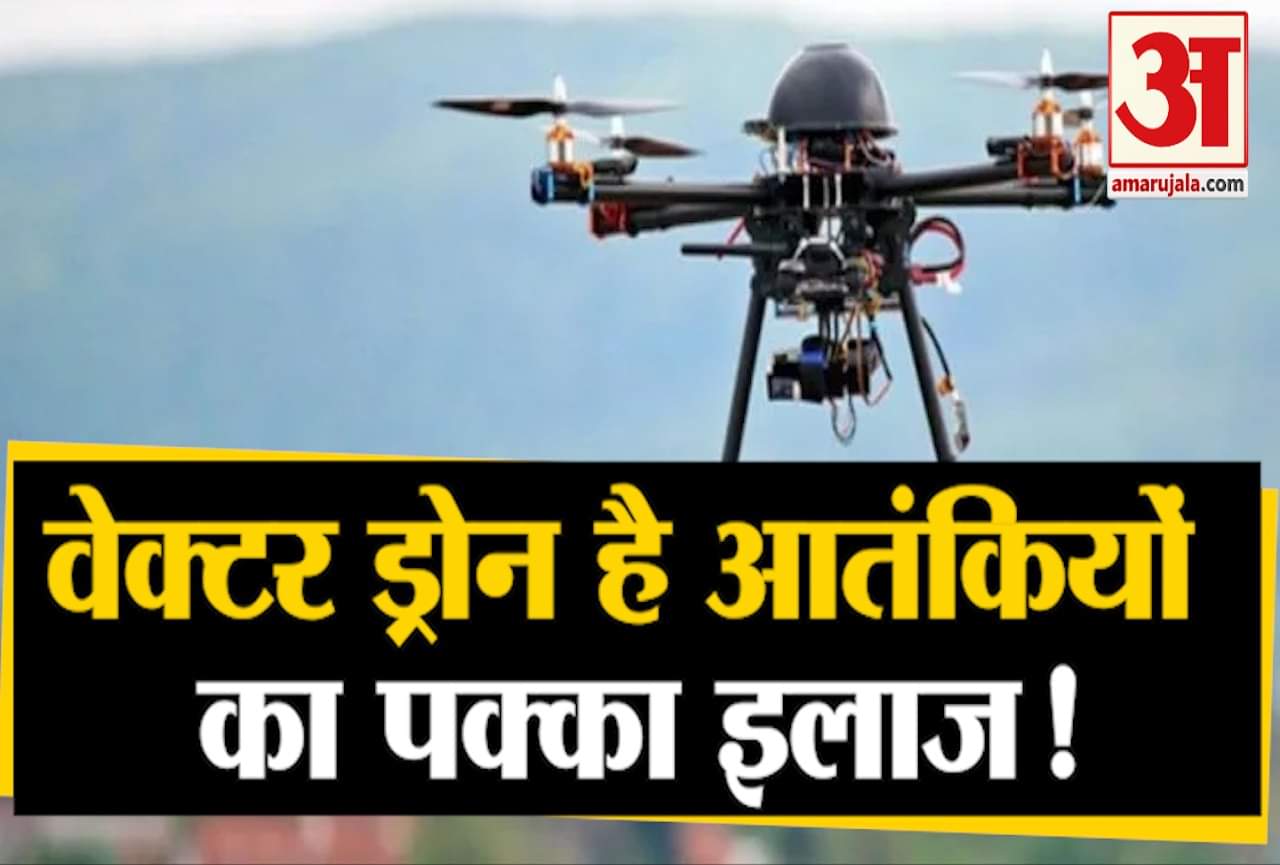 वेक्टर ड्रोन