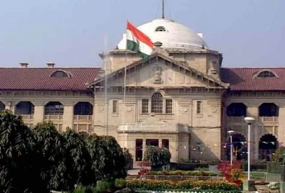 high court