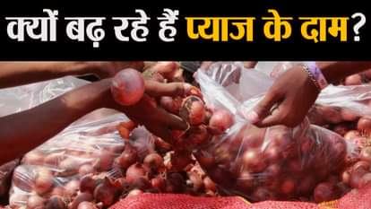 why onion price are continously increasing