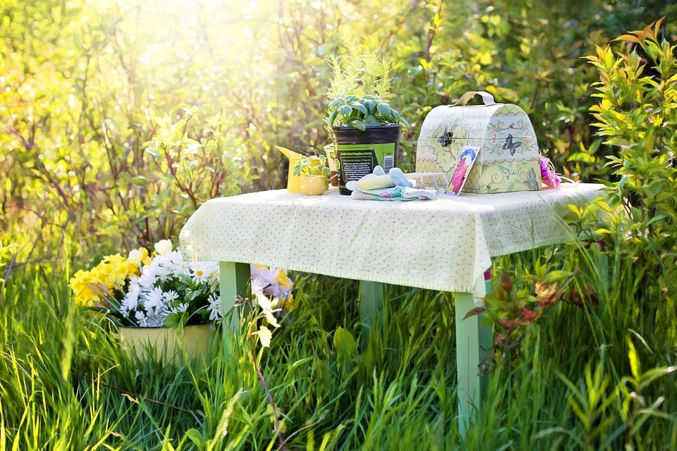 best picnic spot in delhi to celebrate with friends and family top 5 picnic place in Delhi NCR