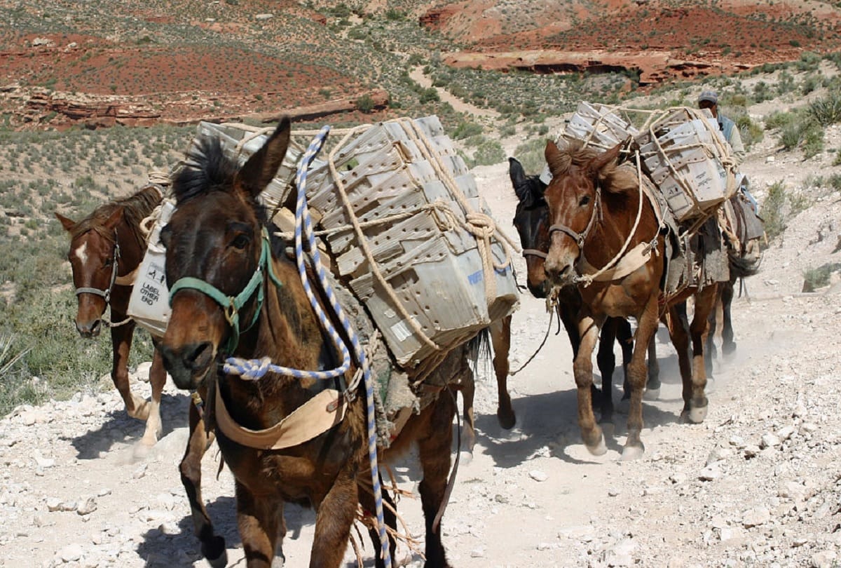 Mystery of Supai Village Which is Settle down three thousand feet below the ground