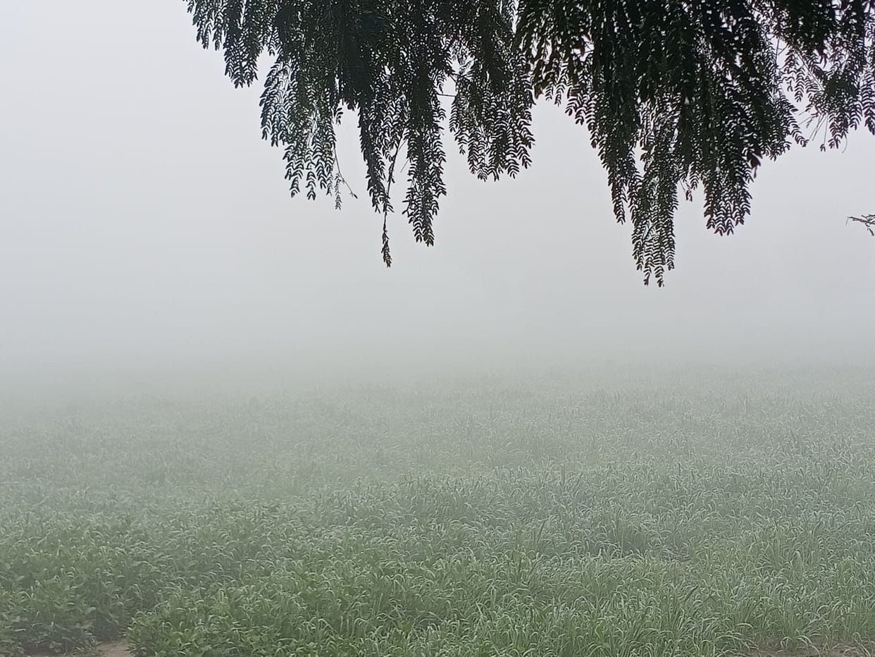 weather, cold, minimam temprature
