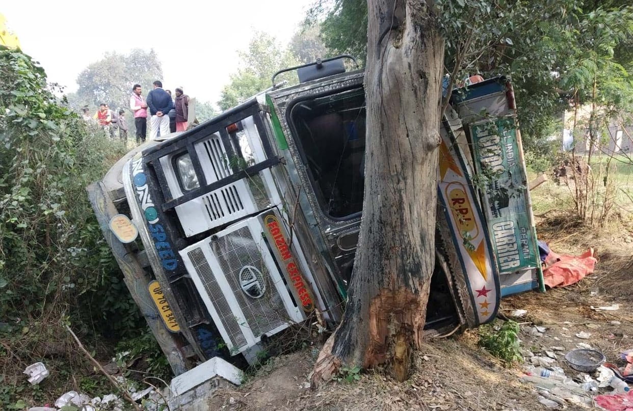7 cowes died in an accident
