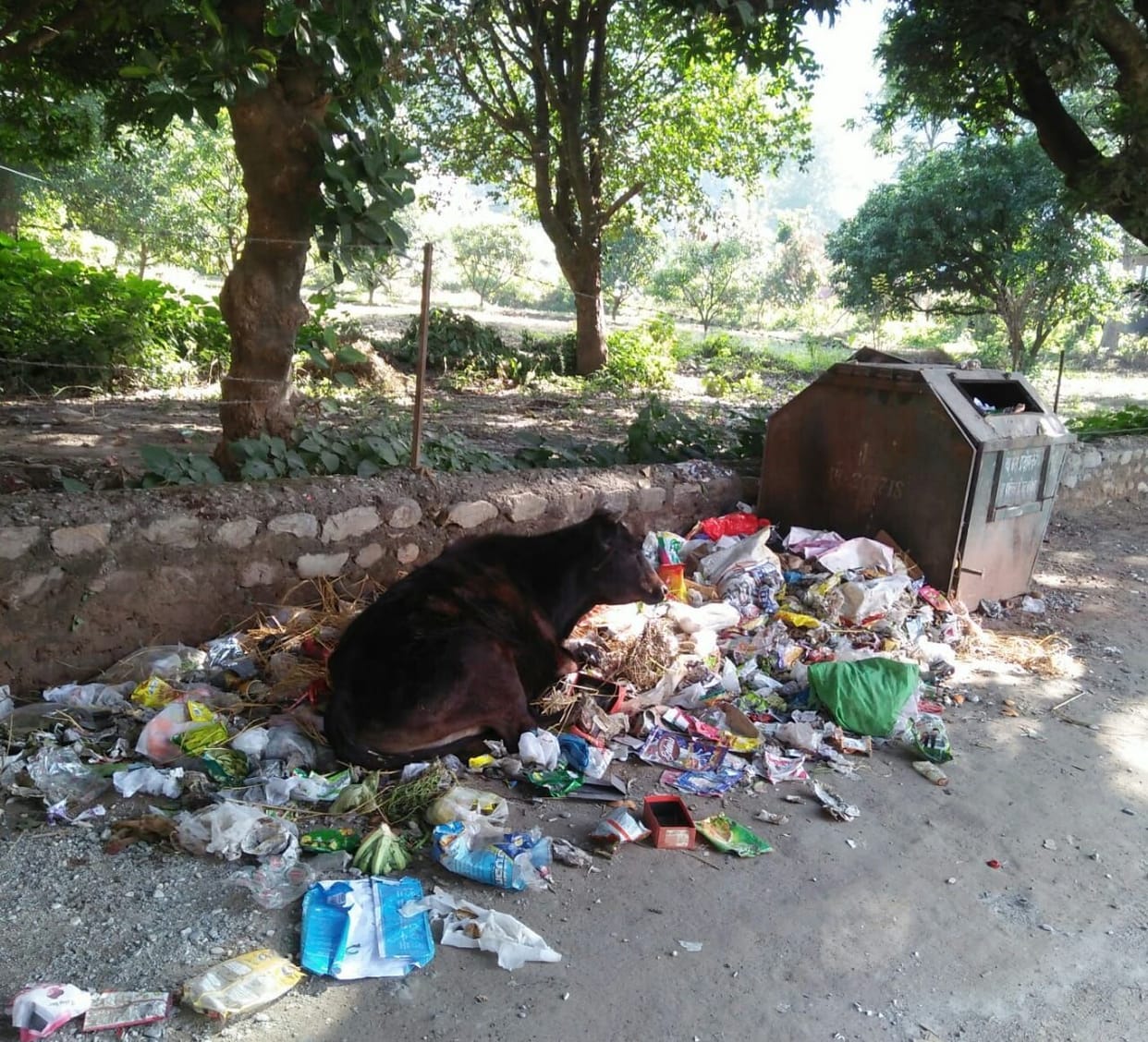 There is a lot of mess in Venimadhav