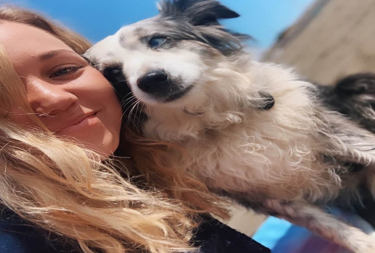 san francisco woman booked a plane to find the stolen dog and offering 7000 dollar reward