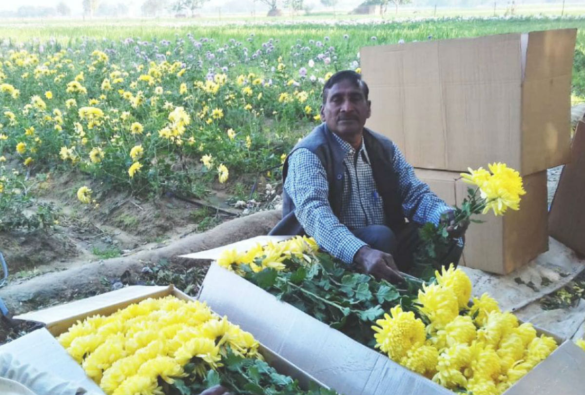 budget 2020 finance minister big announcement for farmers
