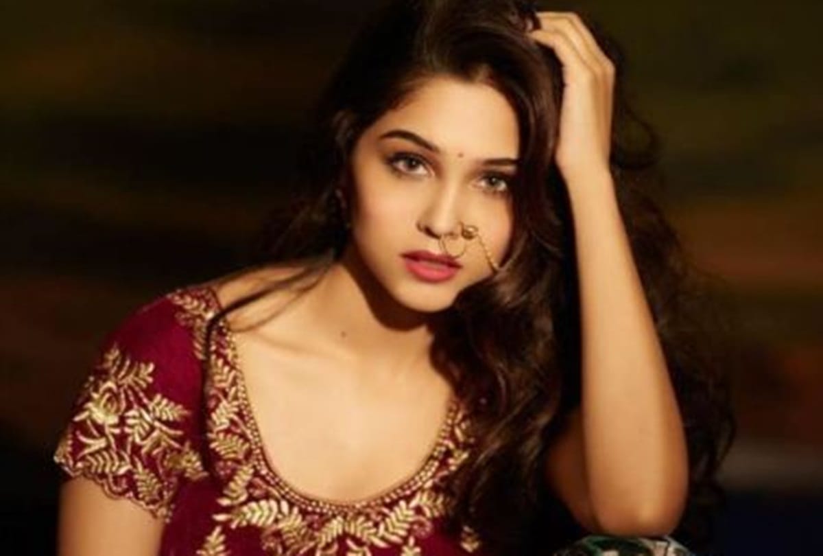 yashraj films will release 6 films in this year sharvari wagh talk about films