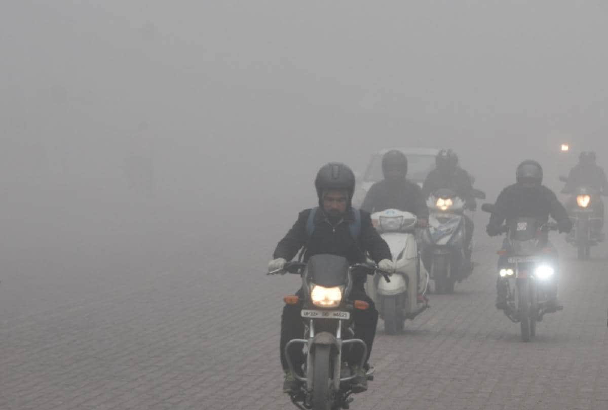 know the reason of cold in this year all details here