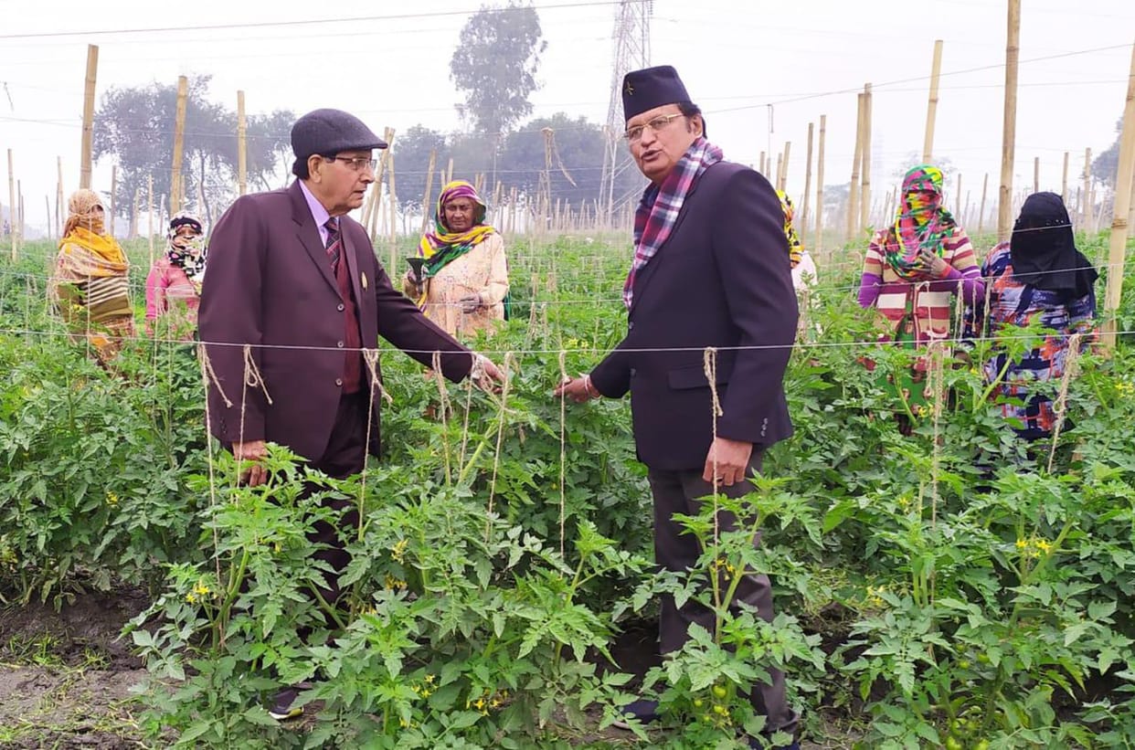 agriculture