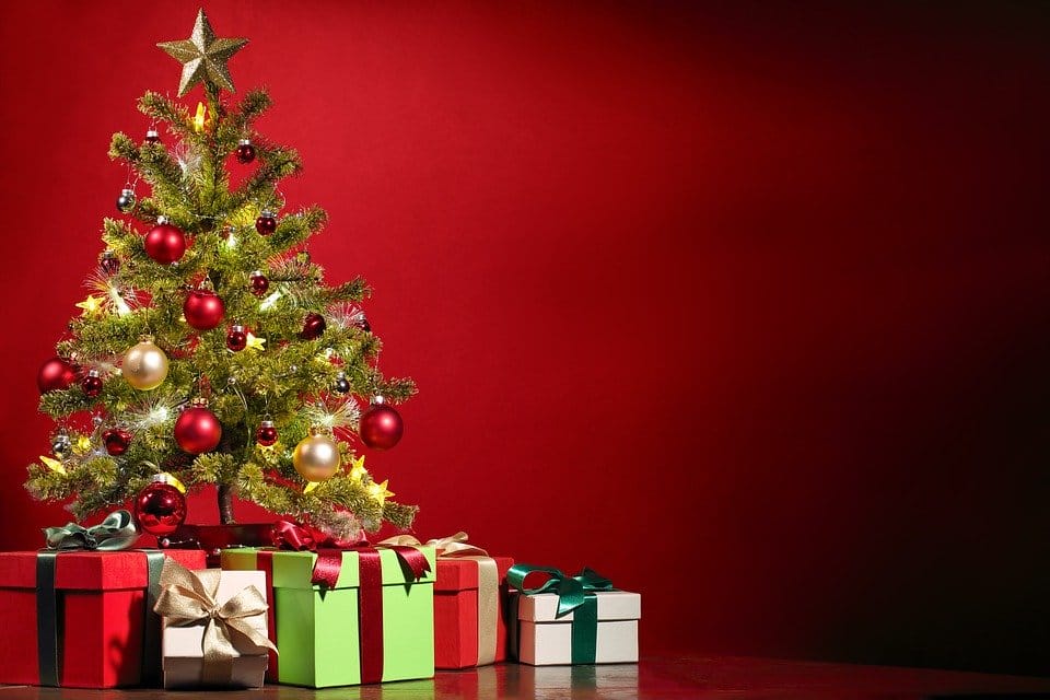 Christmas Day 2020 christmas tree may remove vastu dosha