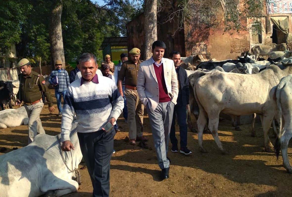 DM tested the arrangements of Goshala