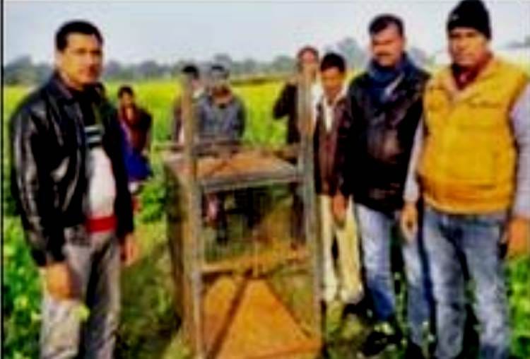 violent animal attacked on people, six injured in Itaunja